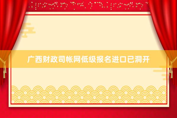 广西财政司帐网低级报名进口已洞开