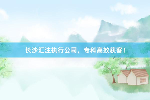 长沙汇注执行公司，专科高效获客！