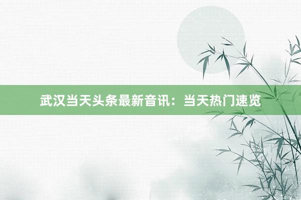 武汉当天头条最新音讯：当天热门速览