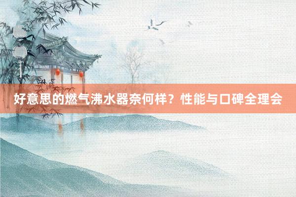 好意思的燃气沸水器奈何样？性能与口碑全理会
