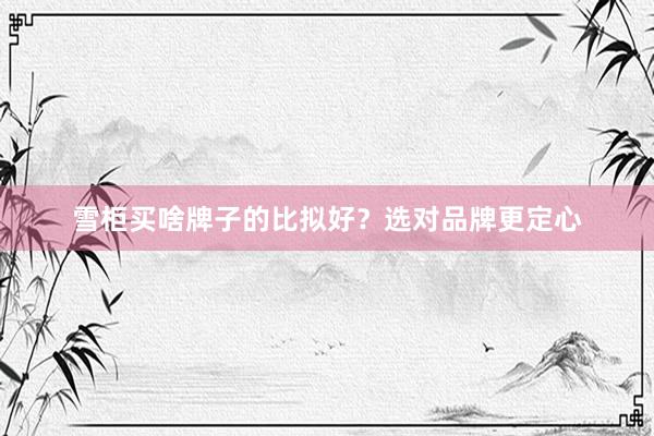 雪柜买啥牌子的比拟好？选对品牌更定心