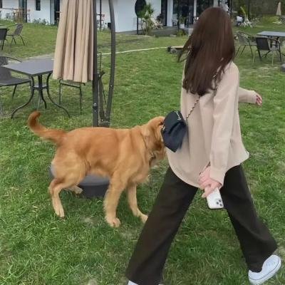 火车站上的爱情